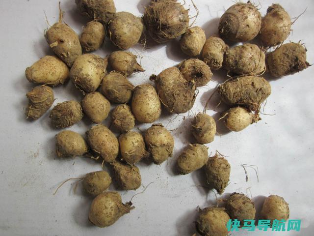 鸡眼怎么根治，怎么去除鸡眼 第5张